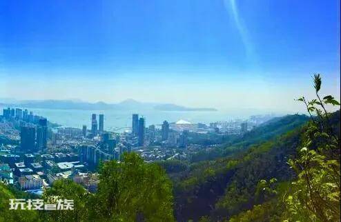 深圳十大免费景点推荐(深圳免费又好玩的12个去处)-图片14